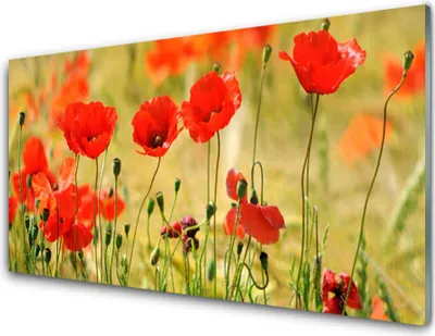 Produktbild von Acrylglasbilder 100x50 Wandbild Druck Mohnblumen Natur