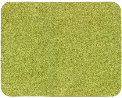 Immagine prodotto di Zerbino Astra lavabile ENTRA Verde 60 x 75 cm