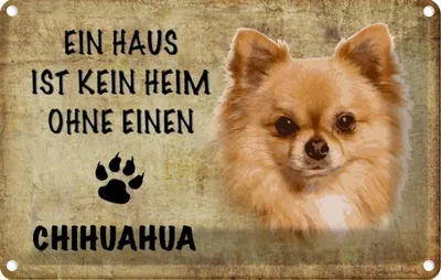 Produktbild von vianmo Blechschild 20x30 cm Chihuahua Hund ohne kein Heim Tier Haustier