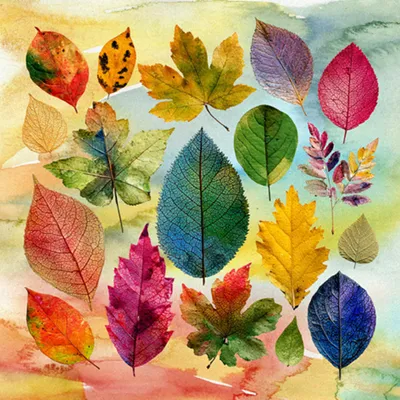 Produktbild von Servietten Papier 33x33cm 3-lag. mit mit Herbstblätter Motiv 20 Stück