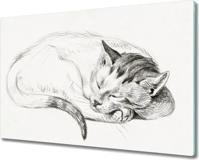 Produktbild von Coloray Küchenbrett Kochplattenabdeckung Hackbrett Schneidebrett Herdabdeckplatte 80x52 cm - Katze