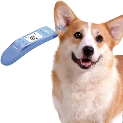 Image de Thermomètre infrarouge pour chiens, sans contact, avec 3 fonctions, pour animaux de compagnie