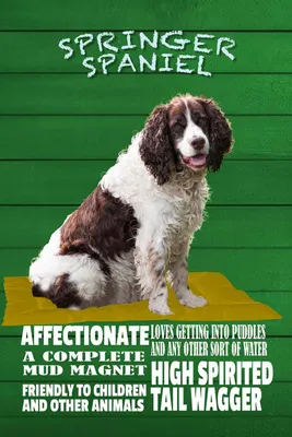Produktbild von vianmo Holzschild 18x12 cm Springer Spaniel Hund friendly Tier Haustier