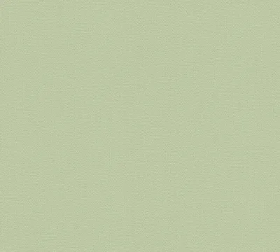 Produktbild von A.S. Création Unitapete Blooming einfarbige Tapete unifarben Vliestapete grün 10,05 m x 0,53 m