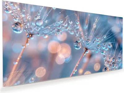Produktbild von Glasbild 60x30cm in XXL für Wohnzimmer, Schlafzimmer Motiv Wassertropfen Kunst