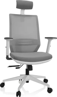 A studio shot of an ergonomic office chair.