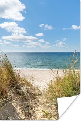 Produktbild von MuchoWow® Poster Düne - Gras - Meer - Strand 40x60 cm - Plakate für die Wand - Poster Babyzimmer