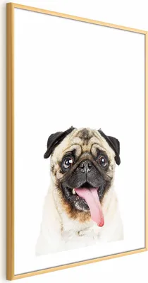 Produktbild von Posterpapier Poster - Pug 29.7x42 cm Für Kinder g-B-0098-ao-a