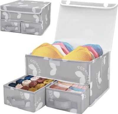 Produktbild von Famanu Unterwäscheorganizer Set 2-teilig - faltbare Aufbewahrungsbox für BHs und Unterwäsche