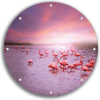 Produktbild von Wallario rundes Outdoor-Poster für Garten oder Balkon, Motiv Rosa Flamingos bei Sonnenuntergang, 30 cm Durchmesser