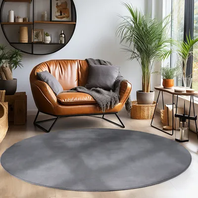 Immagine prodotto di Teppium Tappeto Lavabile a Pelo Corto Antiscivolo Monocolore Morbido e Confortevole in Stile Moderno, Dimensioni: 200 cm rotondo