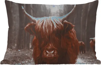 Produktbild von MuchoWow® Outdoor Kissen - Schottisches Hochlandrind - Wald - Kuh - Tiere - Natur - 50x30 cm - Wetterfest - Lounge Kissen - Sofa kissen - Wohnzimmer Dekoration