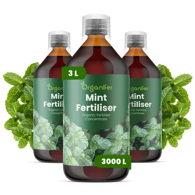 Zdjęcie produktu dla Mäta Nawóz Płynny 3x1 L – 2-1-8 NPK – Do Mätu – Podporuje Bujne Rośliny i Vysokú Produkciu Éterických Olejov – Organifer