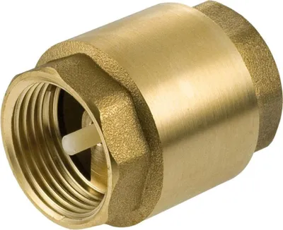 A close-up studio shot of a brass check valve with a white plastic insert.