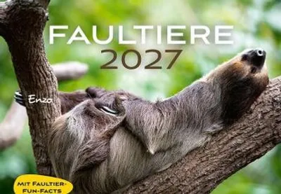 Produktbild von Faultiere Kalender 2027 Eintragkalender