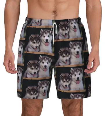Produktbild von Husky Dog Badeshorts für Herren, lässige Strandhose