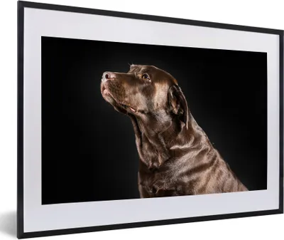 Produktbild von MuchoWow® Gerahmtes Poster Hund - Braun - Porträt 60x40 cm - Poster mit Schwarzem Bilderrahmen Wandposter Rahmen Foto Bilder - Schlafzimmer - Plakat in Rahmen - Drucken