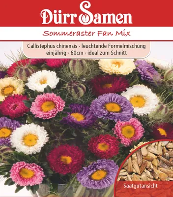 Produktbild von Sommeraster Fan Mix | Sommerasternsamen von Dürr Samen