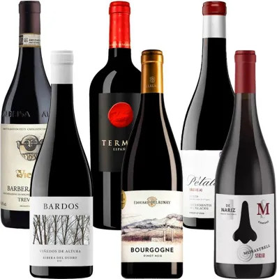 Produktbild von Pack Tintos de Autor Wein-Pakete Spanien 75.00 cl 14.0 %