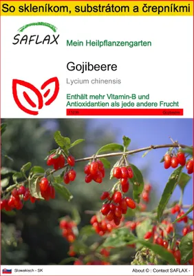 Obrázok produktu pre SAFLAX Kultivačný set - Gojibeere - Lycium chinensis - 200 Semená - S mini skleníkom, pestovateľským substrátom a 2 črepníkmi
