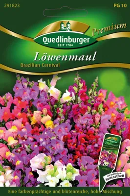 Immagine prodotto di Löwenmaul: Il carnevale brasiliano | Semi di fiori di Quedlinburg