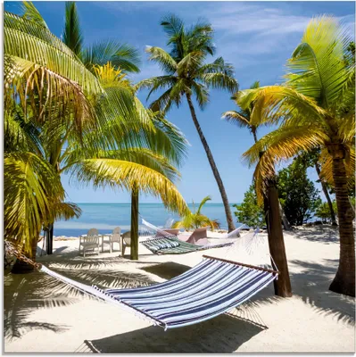 Produktbild von ARTland Glasbild Florida Wellness Größe: 50x50 cm