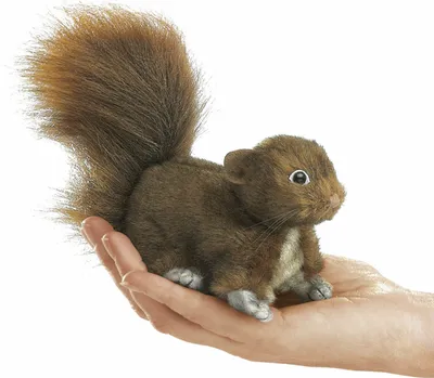 Produktbild von Folkmanis 2735 Fingerpuppe Eichhörnchen