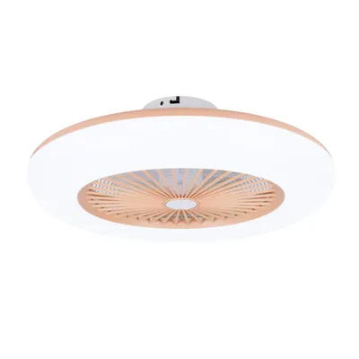Imagen del producto de Ventilador de techo con luz modelo 11055P Callisto, color rosa, con tecnología LED regulable, 3 temperaturas de color, mando a distancia, temporizador, diámetro de 55 cm