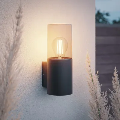 Image de HOFTRONIC - Applique murale LED E27 IP44 Noir Verre fumé
