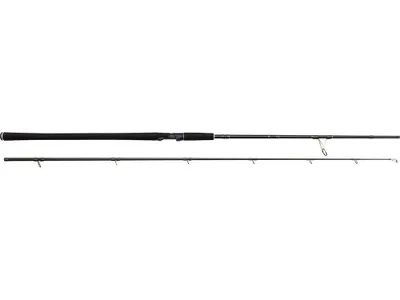 Immagine prodotto di Westin W2 Powercast 8'3"/248cm XH 20-80g 2sec