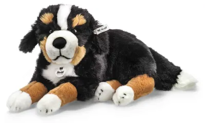 Immagine prodotto di Steiff Senni Cane da montagna bernese 45 sdraiato 079528