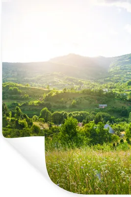 Produktbild von MuchoWow® Wandtattoo Wandsticker Wandaufkleber Wald - Landschaft - Sonne - Natur - Sonnenaufgang 20x30 cm Selbstklebend und Repositionierbar - Sticker - Dekorfolie