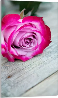 Produktbild von Herdabdeckplatte 30x52 Glaskeramikkochfeld Abdeckung Spritzschutz Glasplatte Deko Schneidebrett, Rose Holz