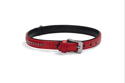 Immagine prodotto di Cintura In Pelle Art Peluche, 11Mm, 21Cmrot, Mt.carlo