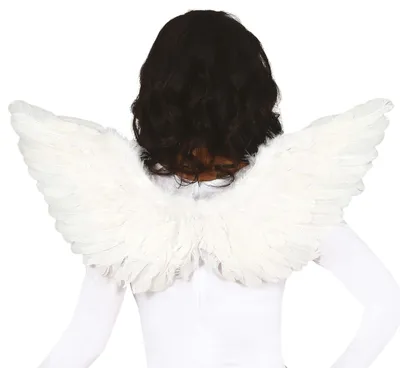 Immagine prodotto di Ali d'angelo di Natale Bianco Nero Ali Costume Accessorio Aura Festiva Cielo Spiritualità Fantasia Mistica Celebrazione Sublime Simbolico Essere Angelico Decorazione Vacanze, Colore: Bianco