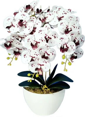 Produktbild von Kunstpflanze Damich 3pgk künstliche Orchidee im Blumentopf Kunstblume Dekoration Pflanze Blume Höhe ca. 60cm