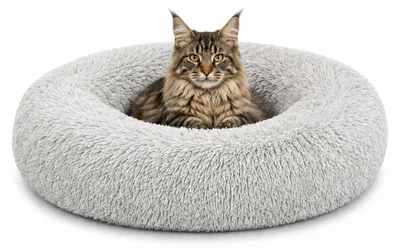 Produktbild von lionto Donut Katzenkissen, rundes Bett mit Plüschbezug & Anti-Rutsch-Boden, erhöhter Rand für Geborgenheit, 60 cm Durchmesser, hellgrau