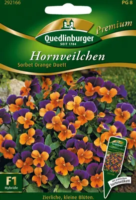 Artikelbild 1 von 'Hornveilchen Sorbet Orange Duett' aus der Kategorie Veilchensamen