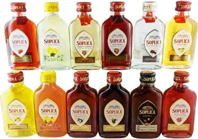 Produktbild von Soplica Likör & Vodka 12er Probierset (12 x 100ml)
