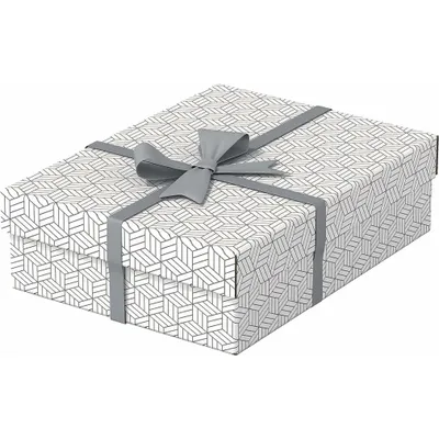 Produktbild von 3 Esselte Home Aufbewahrungsboxen 8,0 l weiß 26,5 x 36,0 x 10,0 cm
