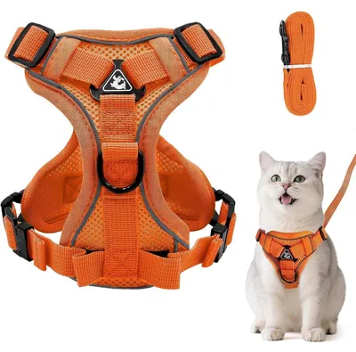 Produktbild von Katzengeschirr mit Leine Set, Ausbruchsicher, Verstellbar, Mesh, Orange, Größe M