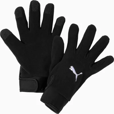Produktbild von PUMA teamLIGA 21 Winter gloves Handschuhe schwarz M/L