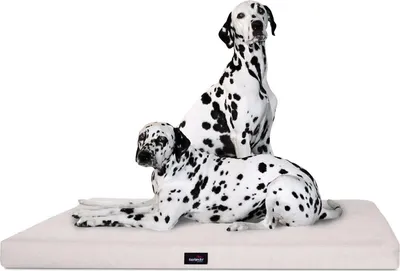 Produktbild von tierlando® Orthopädische Hundematratze ALICE VISCO Hundematte Hundebett S - XXL - Größe: 80x60cm | Farbe: 05 Creme