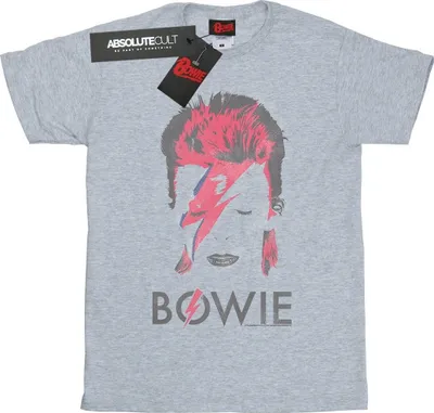 Produktbild von David Bowie - "Aladdin Sane" T-Shirt für Damen BI18835 (S) (Grau)