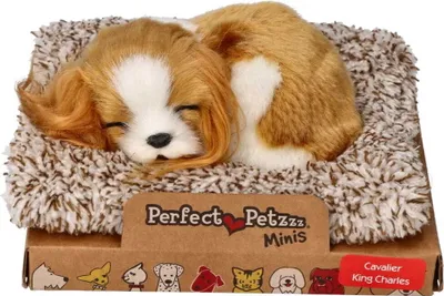 Produktbild von Schlafender Cavalier King Charles Welpe 13 cm klein Perfect Petzzz