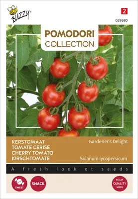 Image de Tomate Gardeners Delight | Graines de tomate cerise de Buzzy Seeds