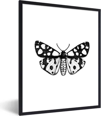 Produktbild von MuchoWow® Gerahmtes Poster Schmetterling - Vintage - Schwarz und weiß 60x80 cm - Poster mit Schwarzem Bilderrahmen Wandposter Rahmen Foto Bilder - Premium - Wanddeko Wohnzimmer