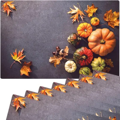 Produktbild von Abwaschbare Tischsets 8er Set Herbst-Laub & Kürbisse
