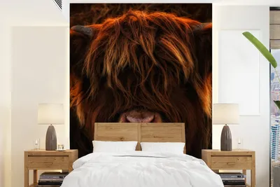 Produktbild von MuchoWow® Fototapete für Wohnzimmer oder Schlafzimmer Wandtapete Vinyl Motivtapete Schottischer Highlander - Kuh - Schwarz - Porträt - 190x260 cm - Papiertapete
