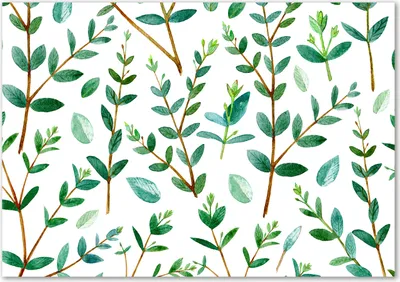 Produktbild von Tulup® Glas-Bild - 100 x 70 - Wandbild aus Glas - Wandkunst - Wandbild hinter gehärtetem Sicherheitsglas - Blumen & Pflanzen - Eukalyptus - Grün